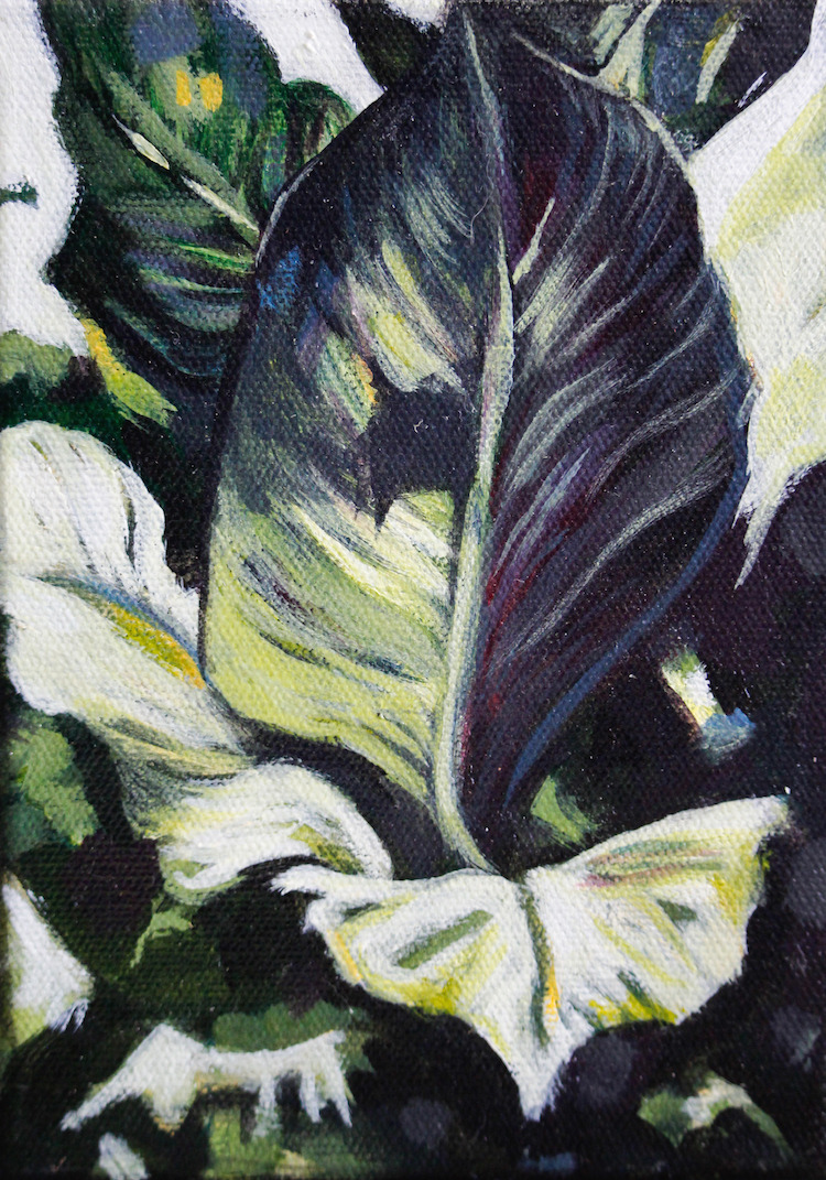 purple leaves, plant painting by laura bonnie