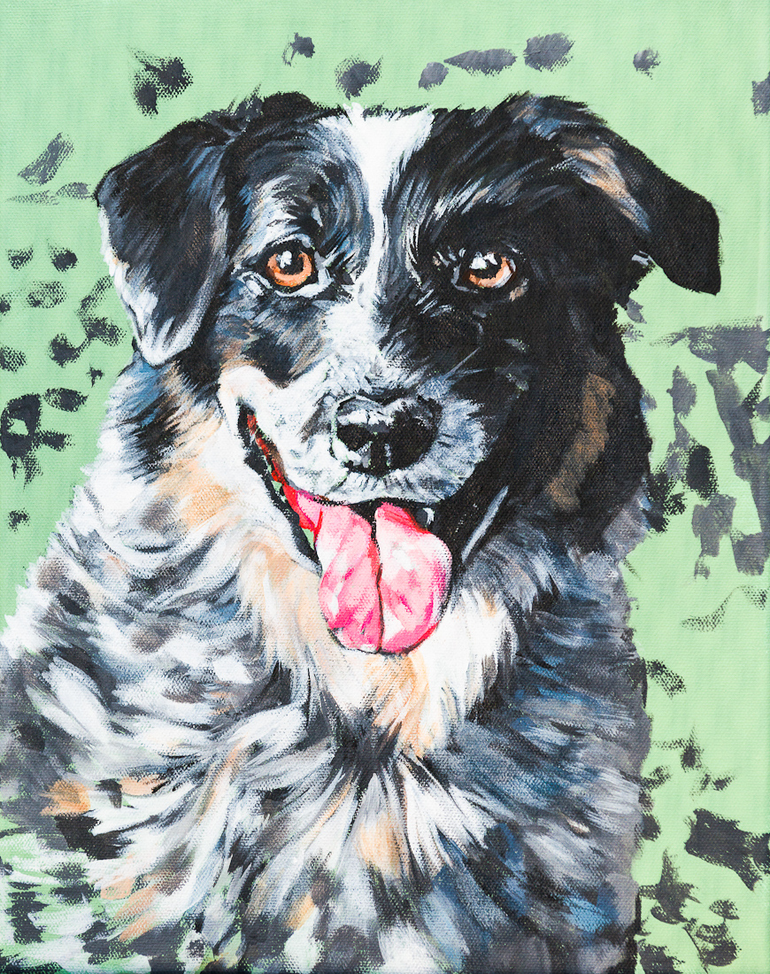 Poppy of North Park Bikes! Pet portrait by Laura Bonnie