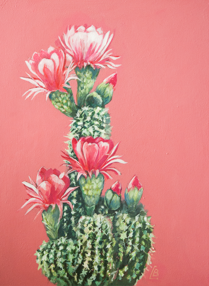 pink cactus, acrylic painting commission